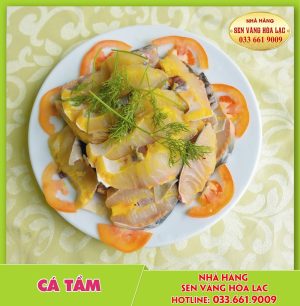 Cá tầm