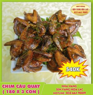 Chim câu quay