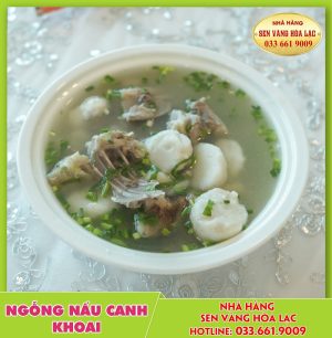 Ngỗng canh khoai